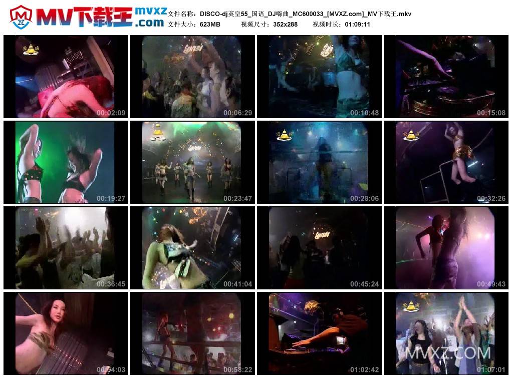 DISCO-dj英皇55_国语_DJ嗨曲_MC600033